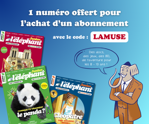 Banniere courte.png